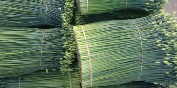 吃韭菜花的好处有哪些？