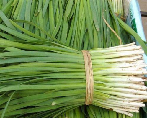 有肿瘤能吃韭菜吗？肿瘤病人能吃韭菜吗？