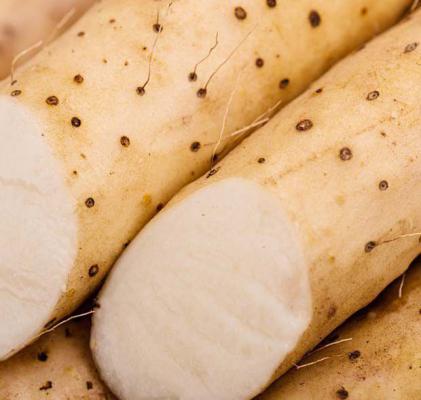 孕妇可以吃山药吗？孕妇吃山药有哪些好处？