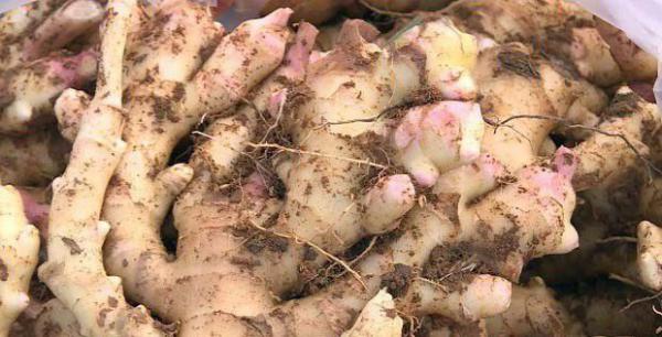 吃烂生姜有哪些危害？