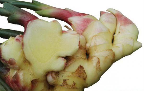 生姜泡水的功效与作用