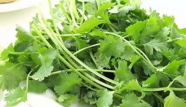 香菜煮水喝的功效