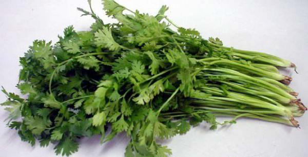 香菜的神奇功效与作用