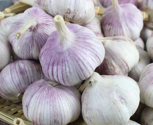 大蒜油是什么？大蒜油的功效与作用