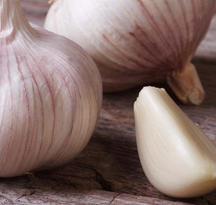 大蒜油的功效与作用