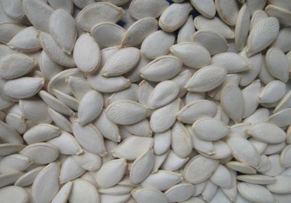 南瓜子油的功效与作用