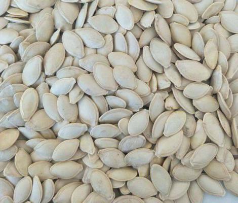 南瓜子和西葫芦籽的区别