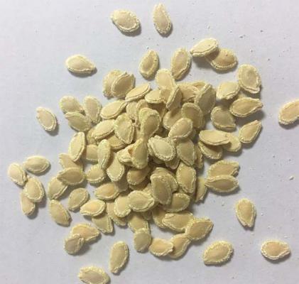 冬瓜子提取物有哪些？