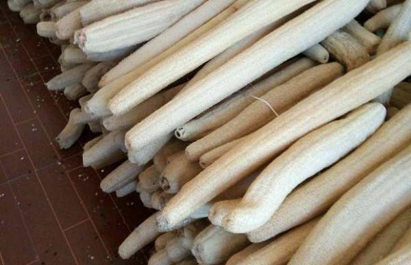 丝瓜络煮水喝的功效