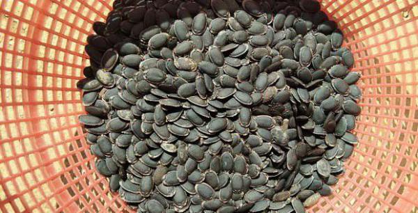 丝瓜子的功效与作用