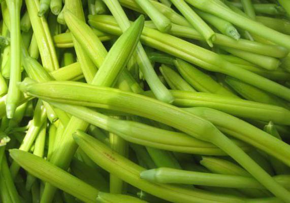 鲜黄花菜怎么做去毒