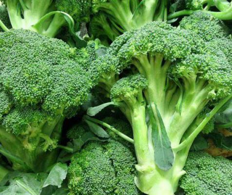 西兰花的根能吃吗？吃西兰花的好处是什么？