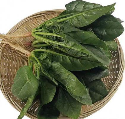 菠菜的营养价值功效和适宜人群
