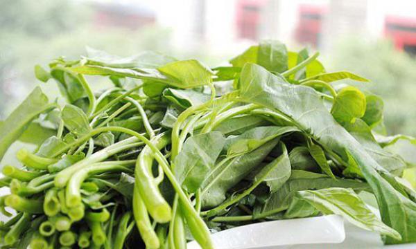 空心菜能缓解便秘