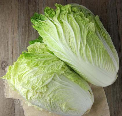 白菜有哪些营养价值？