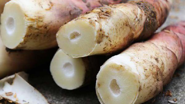 冬笋和春笋的区别