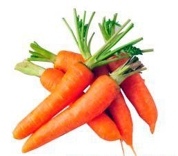 日本红勇人2号胡萝卜介绍