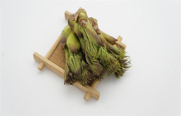 刺老芽怎么种植