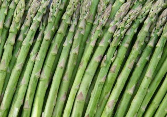 芦笋的产地有哪些地方?