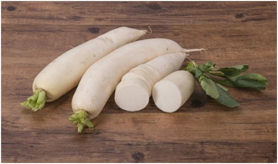 秋萝卜种什么品种好 什么时候种