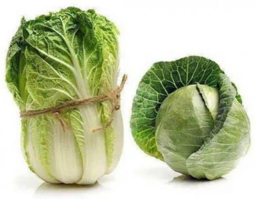 白菜软腐病菌落特征 白菜软腐病用什么药好