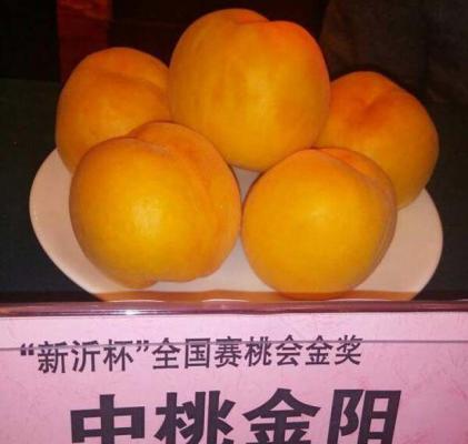 中桃金阳桃树品种简介