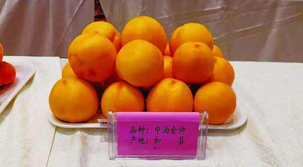 中油金帅油桃品种介绍