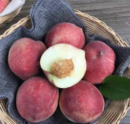 日本研究人员最新发现 常吃桃助降压