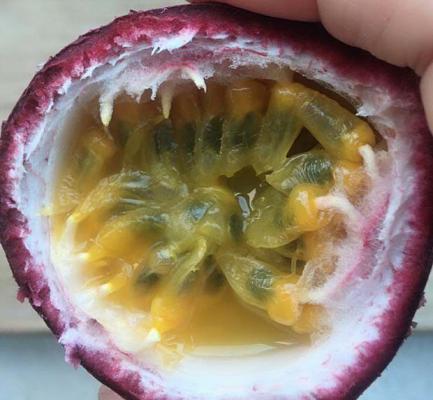 百香果可以加牛奶一起喝吗？