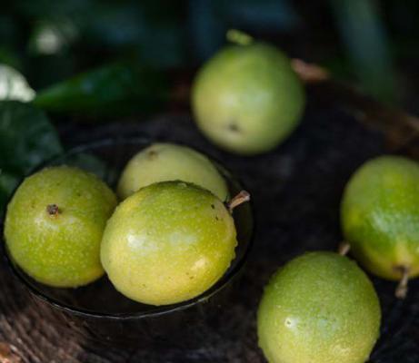 如何在家里做出美味的百香果汁?