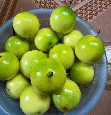 如何挑选质量好的百香果？