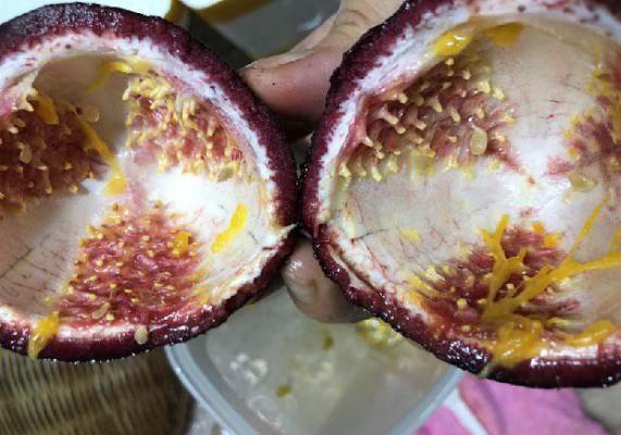 百香果皮的功效、作用与禁忌有哪些？