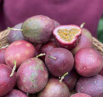 百香果为什么被称为“水果药王”？