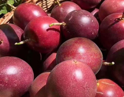 女人吃百香果好处多