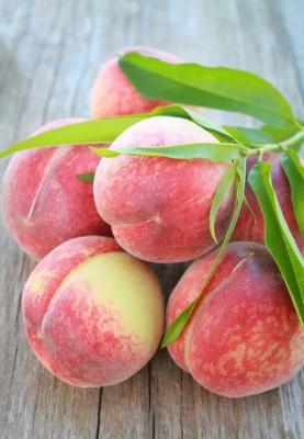 胭脂脆桃桃树品种好不好？