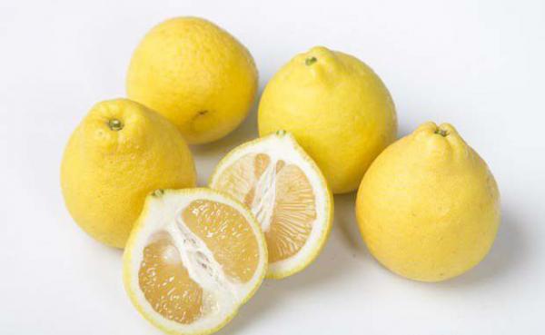 甜柠檬品种好不好？