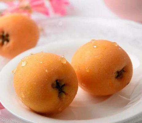 果真好3号枇杷品种好不好？