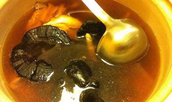 女性吃野生灵芝的好处有哪些？