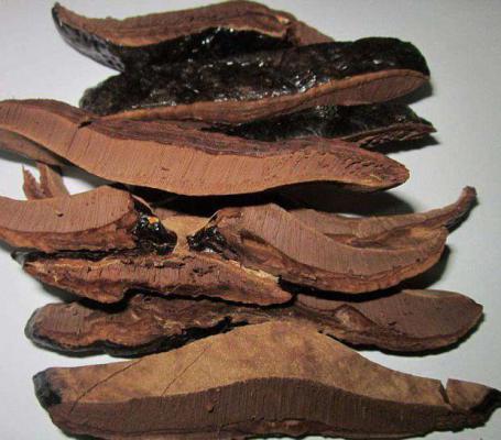 灵芝多糖的用处有哪些？