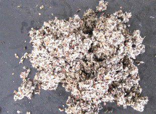 栽培灵芝的培养基如何配制？