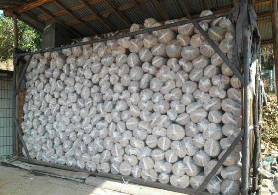 栽培灵芝的段木如何装袋灭菌？