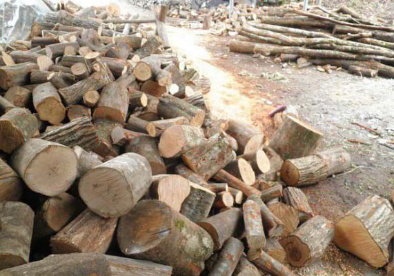 栽培灵芝如何计算段木体积？