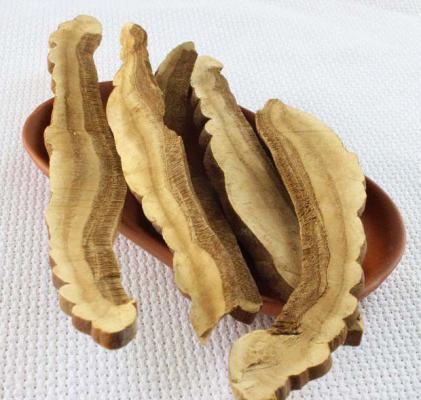 野生灵芝抑制肿瘤的方式有哪些？