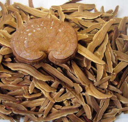 吃灵芝会晕眩吗？吃灵芝需要注意什么？