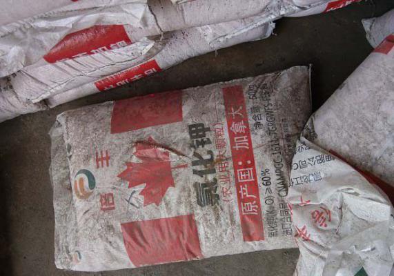 种植百合每亩需要施多少钾肥，如何施？