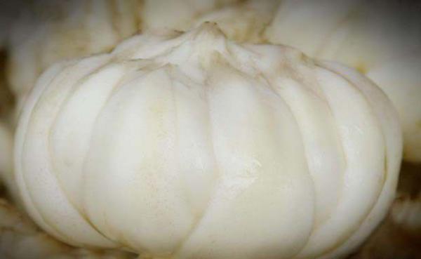 食用百合的营养价值有哪些？