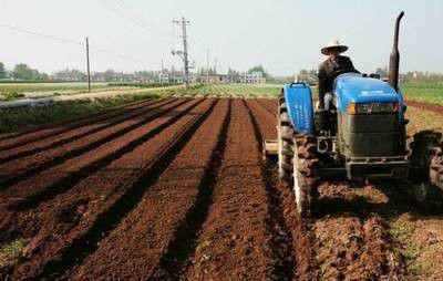 种植半夏如何整地施基肥？