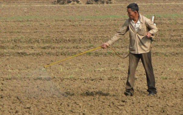 种植北沙参使用除草剂要注意什么？