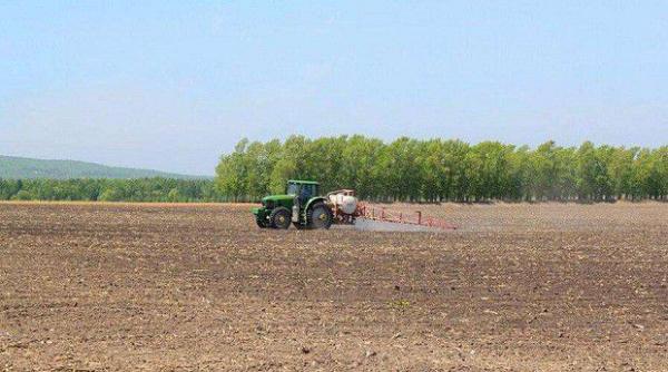种植北沙参可以使用哪些除草剂？