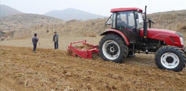 种植板蓝根如何选地整地？